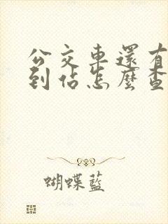 公交车还有几站到站怎么查