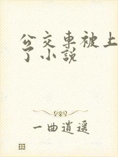 公交车被上高潮了小说