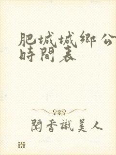 肥城城乡公交车时间表