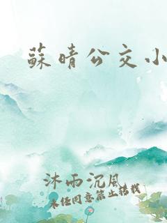 苏晴公交小说