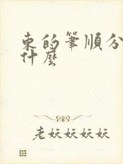 东的笔顺分别叫什么