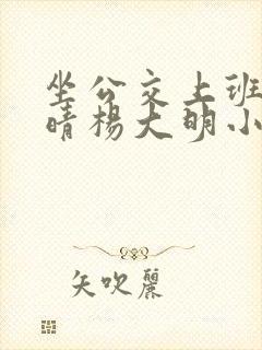 坐公交上班的苏晴杨大明小说