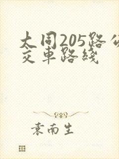 大同205路公交车路线