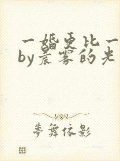 一婚更比一婚高by晨雾的光的小说