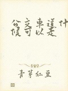 公交车道什么时候可以走