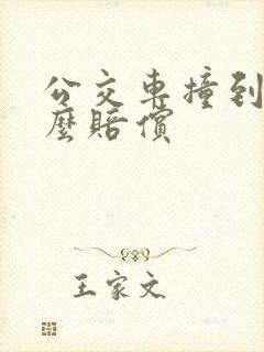公交车撞到人怎么赔偿