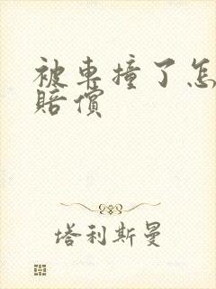 被车撞了怎么要赔偿