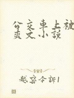 公交车上被强上爽文小说