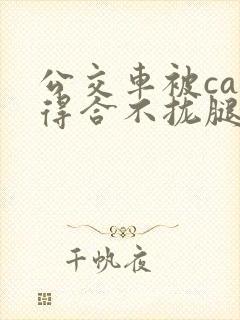 公交车被cao得合不拢腿视频