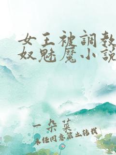 女王被调教成奶奴魅魔小说