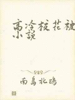 高冷校花被调教小说