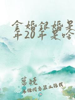 金婚银婚是多少年20年是啥婚
