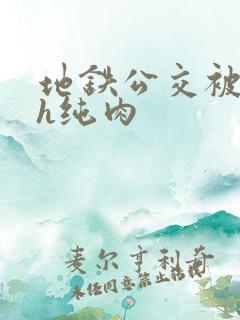 地铁公交被c高h纯肉