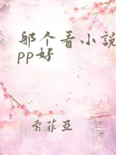 那个看小说的app好