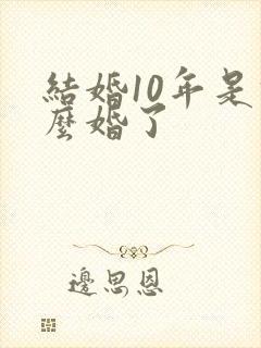 结婚10年是什么婚了