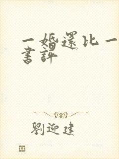 一婚还比一婚高书评