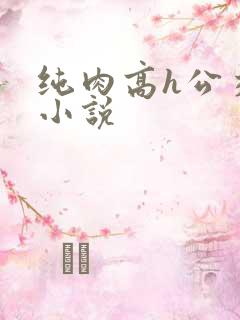 纯肉高h公交车小说