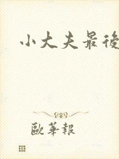 小大夫最后结局