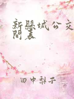 新县城公交车时间表