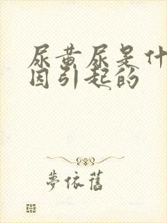 尿黄尿是什么原因引起的