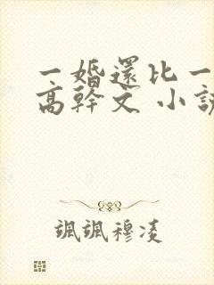 一婚还比一婚高高干文 小说