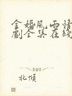 金婚风雨情电视剧全集在线观看免费