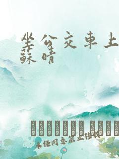 坐公交车上班的苏晴