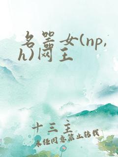 名器女(np,h)网王