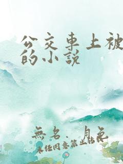 公交车上被强上的小说