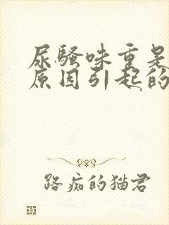 尿骚味重是什么原因引起的