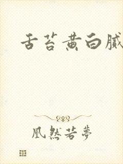 舌苔黄白腻口臭