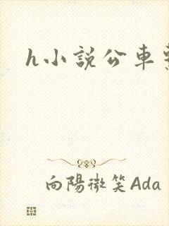 h小说公车系列