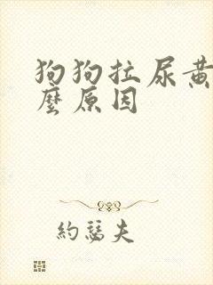 狗狗拉尿黄是什么原因