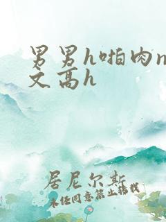 男男h啪肉np文高h