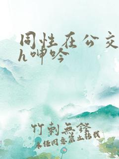 同性在公交车上h呻吟