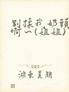 别揉我奶头嗯～啊～(姐姐)