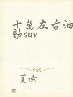 十万左右油电混动suv