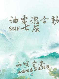 油电混合动力车suv七座
