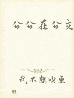 公公在公交车上