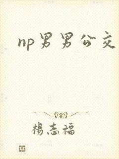 np男男公交车