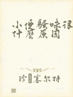 小便骚味很重是什么原因
