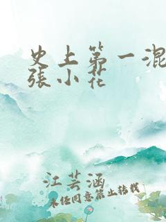 史上第一混乱 张小花
