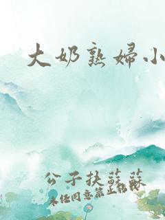 大奶熟妇小说