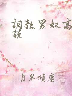 调教男奴高h小说