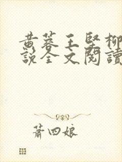 黄蓉王坚柳岩小说全文阅读