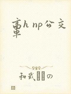 高h np公交车