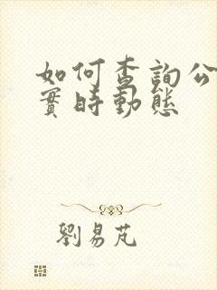 如何查询公交车实时动态