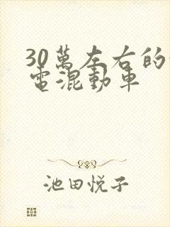 30万左右的油电混动车