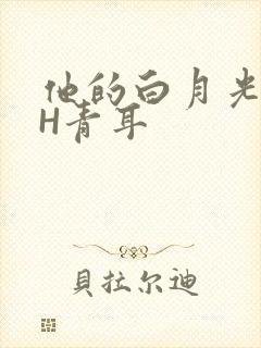 他的白月光HVH青耳