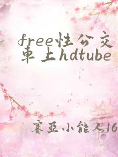 free性公交车上hdtube